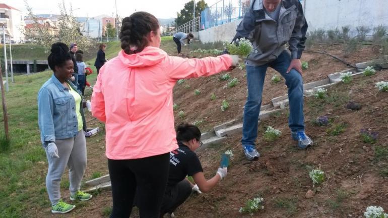 NUin students plant flowers at Elaiorema Park