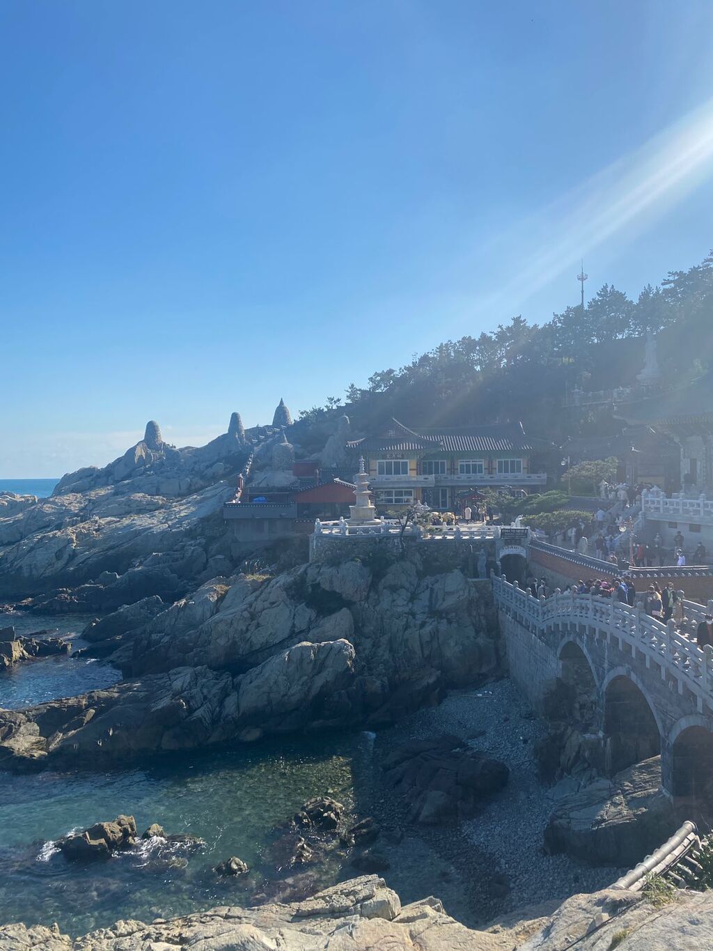 ACT student Alicia Cerma South Korea 4