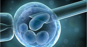 International Symposium on the ethics of 3D bioprinting